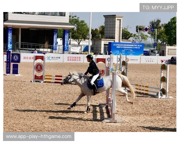 马术障碍赛马不跳障碍转去吃草